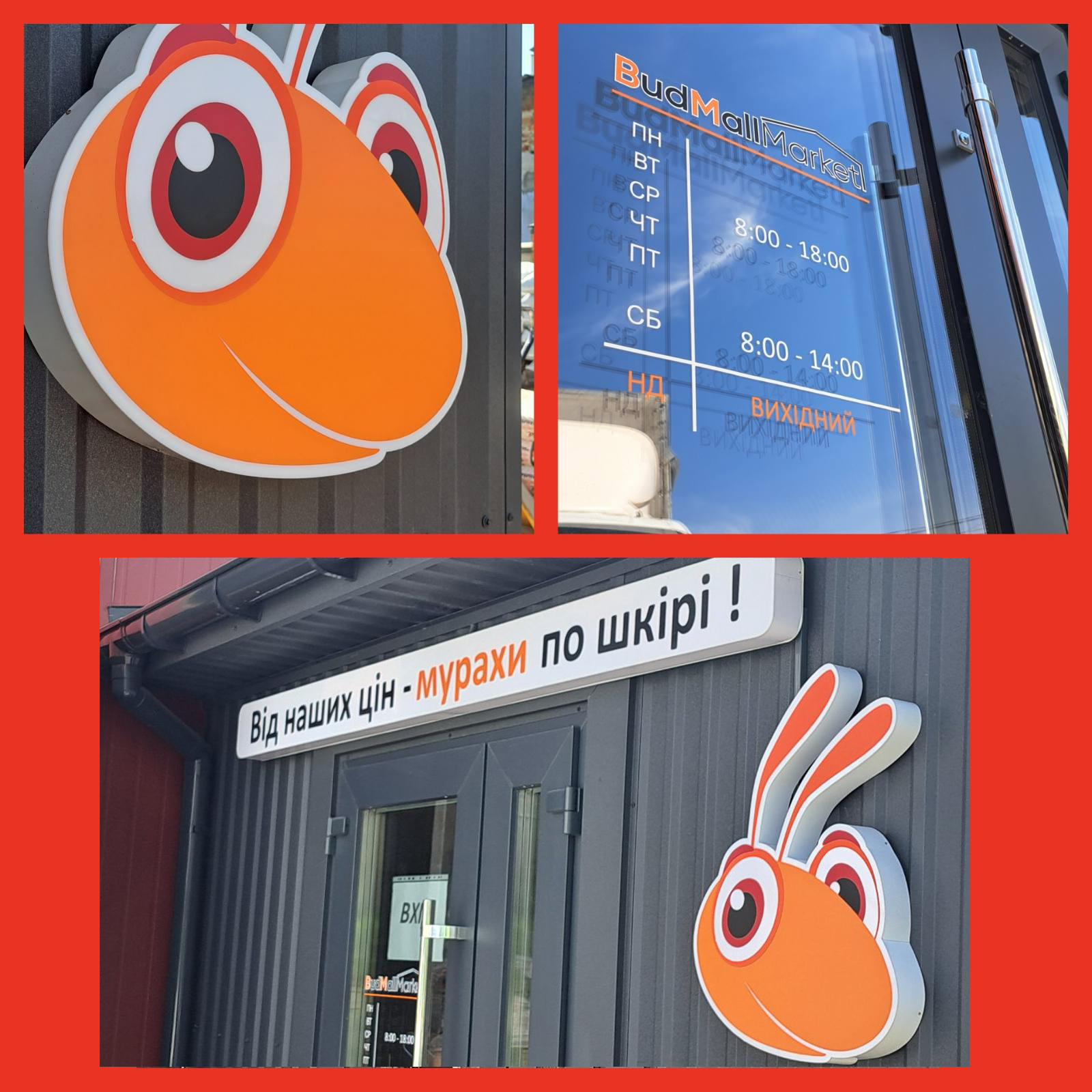 Новий будмаркет у Львові. Шукайте мураху!